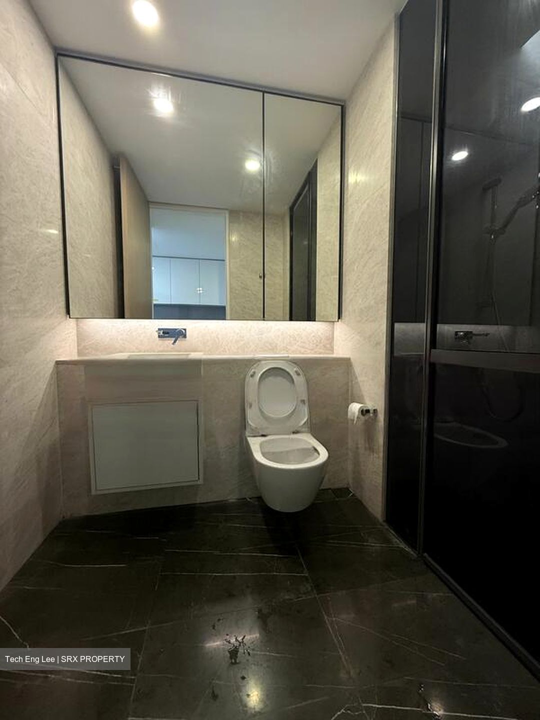 Amber Park (D15), Condominium #469126861